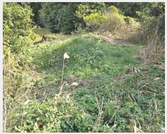  2024Ÿ34509   ȴ  234-1      (1)