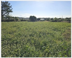  2024Ÿ34509   ȴ  234-1      (1)