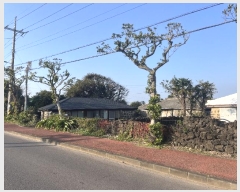  2024Ÿ35137  ֽ  ϵ 3291-1      ()