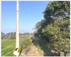  2024Ÿ35137  ֽ  ϵ 3291-1      ()