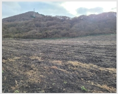  2024Ÿ35762  ֽ ȸõ 6-14       (Ӿ)