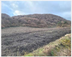  2024Ÿ35762  ֽ ȸõ 6-14       (Ӿ)