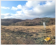  2024Ÿ35762  ֽ ȸõ 6-14       (Ӿ)