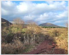  2024Ÿ35762  ֽ ȸõ 6-14       (Ӿ)