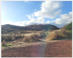  2024Ÿ35762  ֽ ȸõ 6-14       (Ӿ)