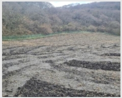  2024Ÿ35762  ֽ ȸõ 6-14       (Ӿ)