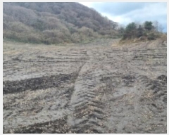  2024Ÿ35762  ֽ ȸõ 6-14       (Ӿ)