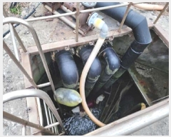  2024Ÿ��36123  â�����