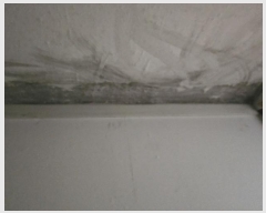  2024Ÿ��36314  �ټ���(����)���