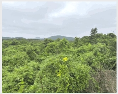  2024Ÿ36925    긮 4072-4      ()