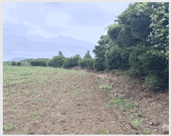  2024Ÿ36925    긮 4072-4      ()