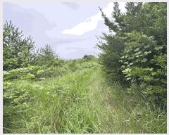  2024Ÿ36925    긮 4072-4      ()