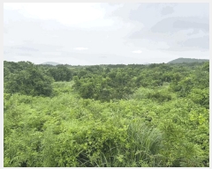  2024Ÿ36925    긮 4072-4      ()