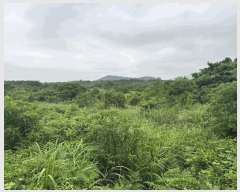  2024Ÿ36925    긮 4072-4      ()