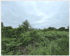  2024Ÿ36925    긮 4072-4      ()