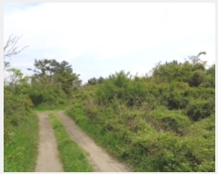  2024Ÿ��3185 ���� ���ֽ� �Ѹ��� ���縮 2271      ����(�Ӿ�)���