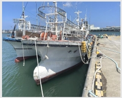  2024Ÿ3307 () Ưġ         ڰ