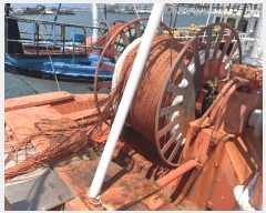  2024Ÿ3307 () Ưġ         ڰ