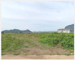  2024Ÿ��6153 ���� �������� ������ ��� 834-1      ����(��1)���