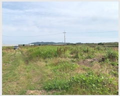  2024Ÿ��6153 ���� �������� ������ ��� 834-1      ����(��1)���