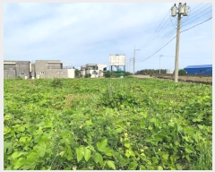  2024Ÿ��6153 ���� �������� ������ ��� 834-1      ����(��1)���