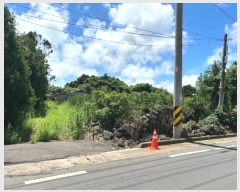  2024Ÿ7590  ֽ Ѱ  109-3      ()