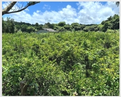  2024Ÿ7590  ֽ Ѱ  109-3      ()