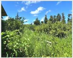  2024Ÿ7590  ֽ Ѱ  109-3      ()