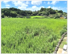  2024Ÿ7590  ֽ Ѱ  109-3      ()