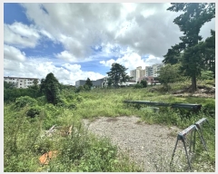  2024Ÿ��7781  ���������