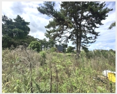  2024Ÿ��7781  ���������