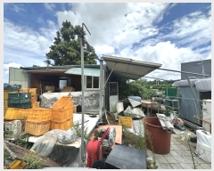  2024Ÿ��7781  ���������