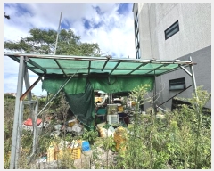  2024Ÿ��7781  ���������