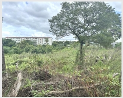  2024Ÿ��7781  ���������