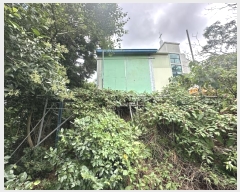  2024Ÿ��7781  ���������