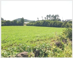  2024Ÿ��8159 ���� �������� �ȴ��� ������ 567      ����(��1)���