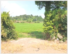  2024Ÿ��8159 ���� �������� �ȴ��� ������ 567      ����(��1)���