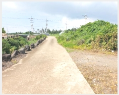  2024Ÿ��8159 ���� �������� �ȴ��� ������ 567      ����(��1)���