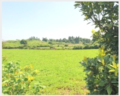  2024Ÿ��8159 ���� �������� �ȴ��� ������ 567      ����(��1)���