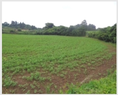  2024Ÿ��8159 ���� �������� �ȴ��� ������ 567      ����(��1)���