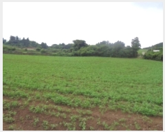  2024Ÿ��8159 ���� �������� �ȴ��� ������ 567      ����(��1)���