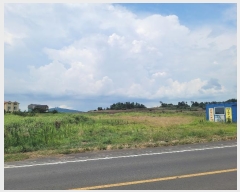  2024Ÿ8685     275      ()