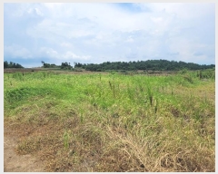  2024Ÿ8685     275      ()