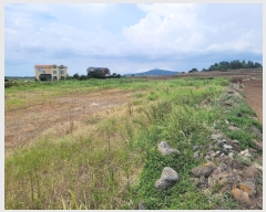  2024Ÿ8685     275      ()