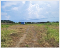  2024Ÿ8685     275      ()