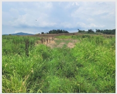  2024Ÿ8685     275      ()