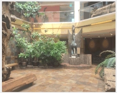  2024Ÿ8869    1833 īڹ      ü