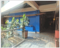  2024Ÿ8869    1833 īڹ      ü