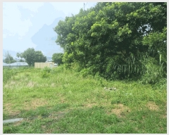  2024Ÿ8869    1833 īڹ      ü