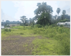  2024Ÿ8869    1833 īڹ      ü